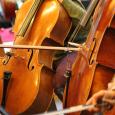 Konzert in Neuenhagen